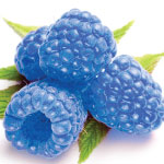 blue raspberry flavour